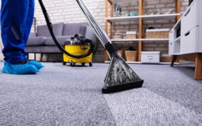 Carpet Cleaning Gwinnett County: Revitalize Your Home