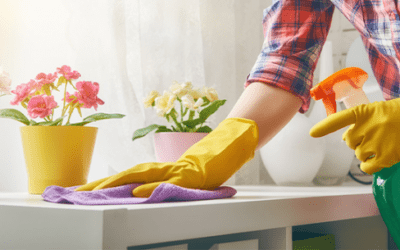 Weekly House Cleaning Made Easier: Hire Now And Become Stress-free