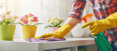 Weekly house cleaning service by professional cleaners in a cozy living room