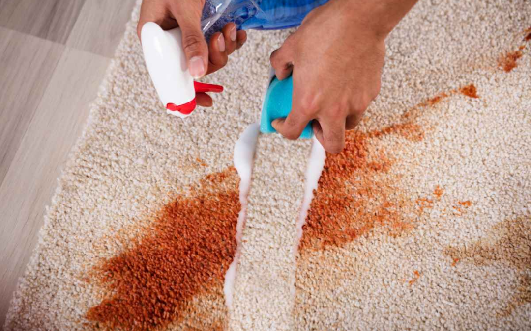 Is Your Home as Clean as You Think? Discover the Hidden Dirt Spots!