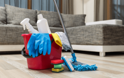 Best House Cleaning and Organizing Services for Families with Kids in New York